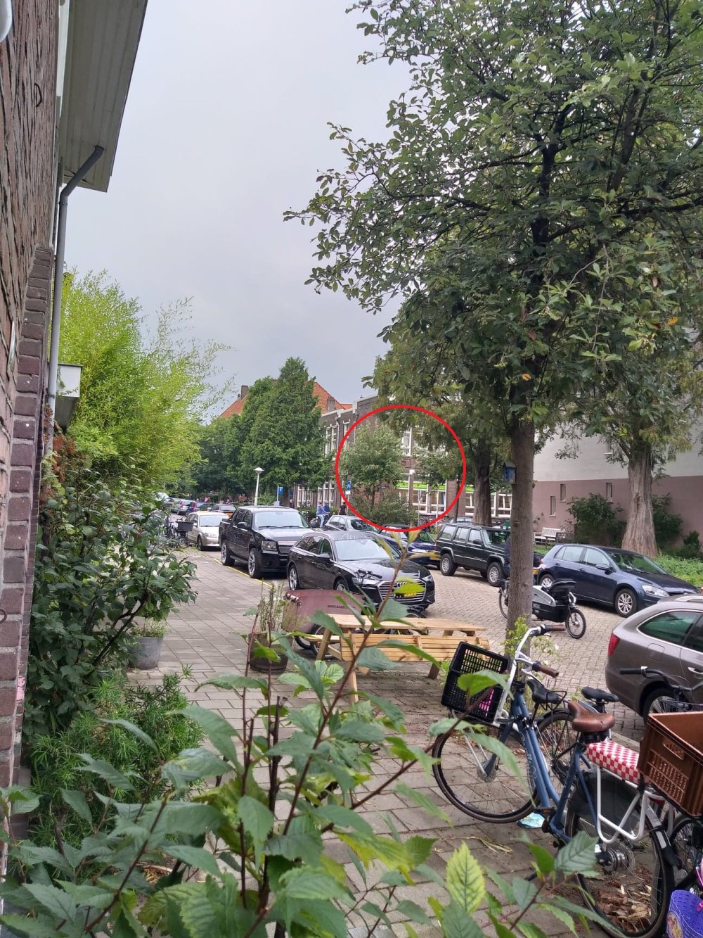 118651581_356357659098322_2100416547228052968_n